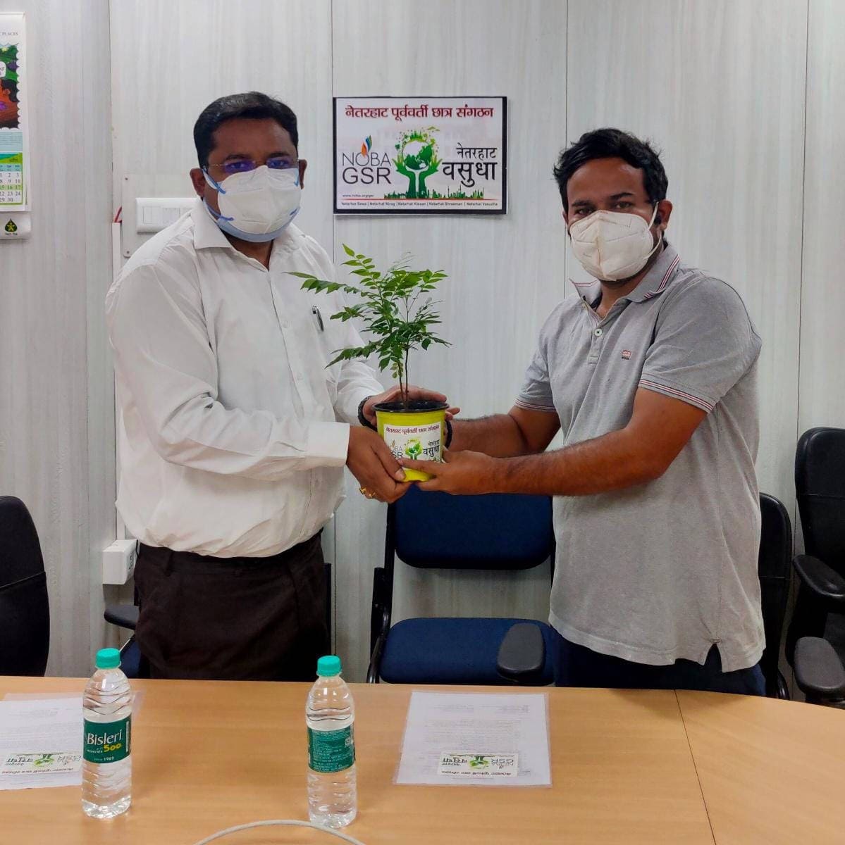 Sharing plant from Netarhat Vasudha